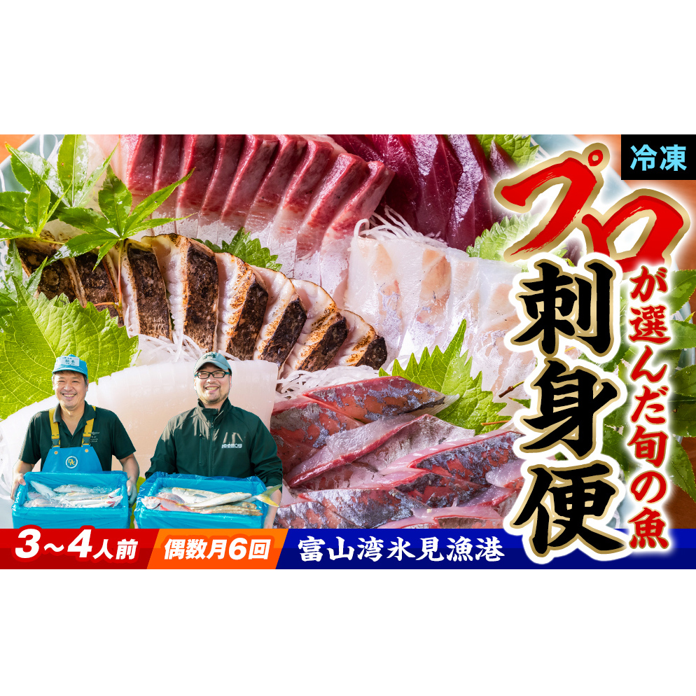 【偶数月 全6回 定期便】氷見漁港で競り落としたお刺身詰め合わせセット 〈冷凍〉　| 　刺身セット 鮮魚 詰め合わせ 富山湾 海の幸 魚介類 お魚 刺し身 さしみ 氷見漁港 柵 冷凍 瞬間凍結