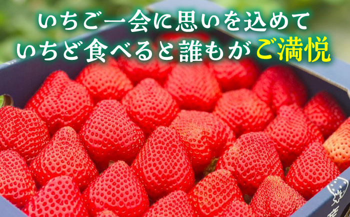 【先行予約】津田くん農園のあまおう 1㎏ 【2025年1月-2月発送】《豊前市》【株式会社くしだ企画】苺 いちご あまおう [VDG001]