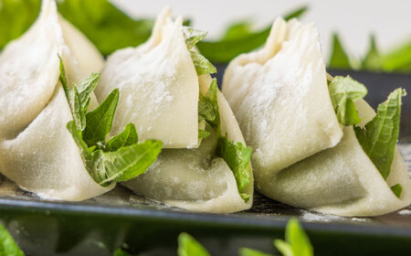 【全3回定期便】【3パック】餃子屋ヒロの 人気のしそ餃子【餃子屋ヒロ】開成町 餃子 点心 惣菜 冷凍[BDAS010]