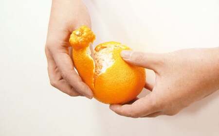 熊本県産 不知火おでこ 約5kg 蜜柑 みかん 柑橘 フルーツ 果物 くだもの 【2026年2月上旬発送開始】