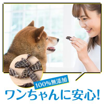 ふるさと納税 浜頓別町 定期便 全4回 お楽しみ 犬 おやつ 無添加 国産 エゾ鹿肉 ジャーキー (150g) ドッグフード |  | 02