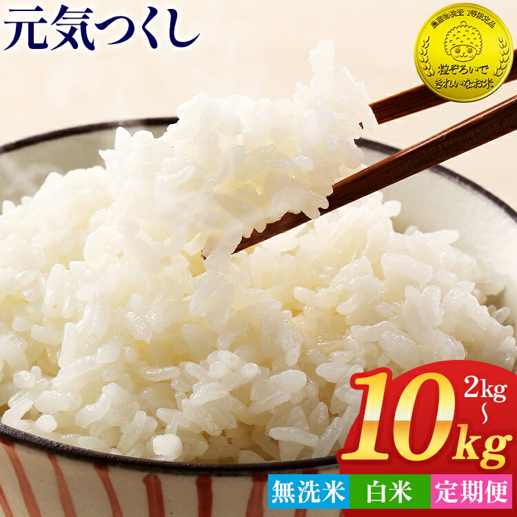 【ふるさと納税】令和7年産 無洗米 or 白米 選べる 金のめし丸 元気つくし 2kg 3kg 5kg 10kg 定期便 3ヵ月 半年 福岡 お米 米 ごはん ご飯 お弁当 おにぎり 金のめし丸県産米 福岡ブランド米 めし丸 ライス rice 飯