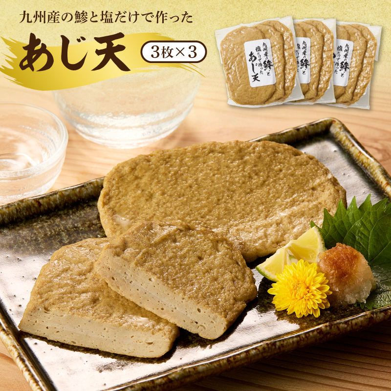 塩と地魚だけで作った天ぷらセット N006-YA4431