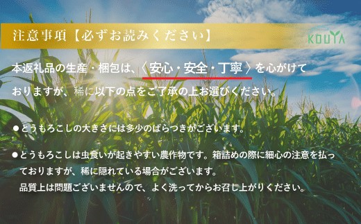 《先行予約》岩手県産　耕野のとうもろこし「ゴールドラッシュ」約5kg（10～15本） 【1895】