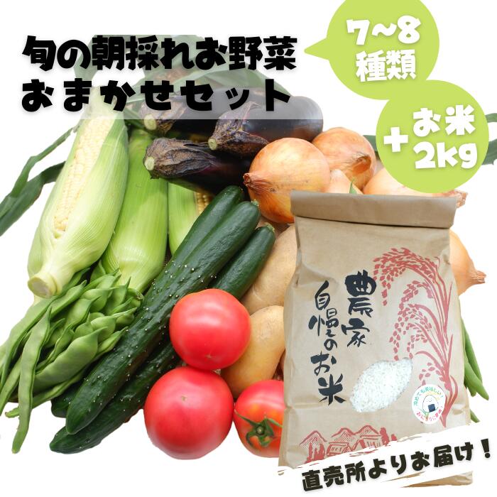 【ふるさと納税】旬のお野菜おまかせセット＆山出米2kg【新米先行受付】 - 令和7年11月以降順次発送 新米 令和7年産 新鮮 野菜 旬 朝採れ 季節 精米 お米 米 しっとり もちもち 甘み おにぎり 複数原料米 セット 詰め合わせ おまかせ 熊本県産 甲佐町【価格改定ZB】