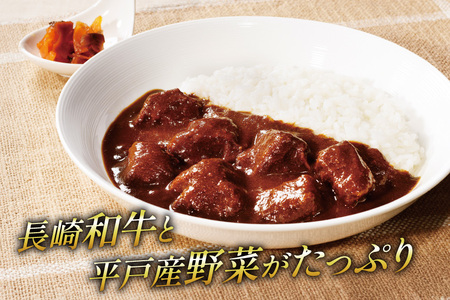 カレー セット 平戸 ビーフカレー 12食 中辛