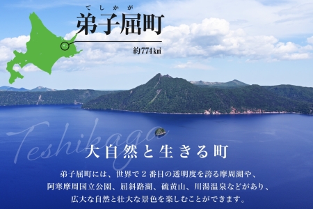 【ふるさと納税】【北海道ツアー】280. 「北海道プレミアムBBQ × カニBBQ × 宿泊 セットプラン」弟子屈町 屈斜路湖畔 宿泊券 旅行券 旅行チケット【1泊2日×2名分】【2023年5月20日