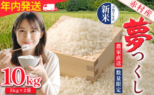 赤村産米 農家直送【数量限定】 精米 夢つくし（年内発送） 10kg 4U1