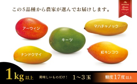 【オンライン決裁限定】 【 先行予約 : 2025年6月頃より順次発送 】 完熟マンゴー 1kg 糖度 17 以上 厳選 フルーツ 果物 国産 数量限定 フルーツ トロピカルフルーツ アーウィン マハ