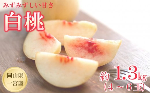 【2027年先行予約】 家庭用 白桃 匠の白桃 約1.3kg（4～6玉） 岡山県 一宮産 数量限定 ～旬の美味しさ 犬塚農園からお届け～