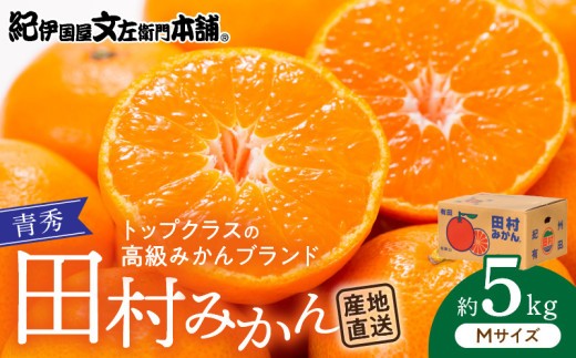 
                   【2026先行予約】田村みかん 5kg  青秀【Mサイズ】_V7448
                