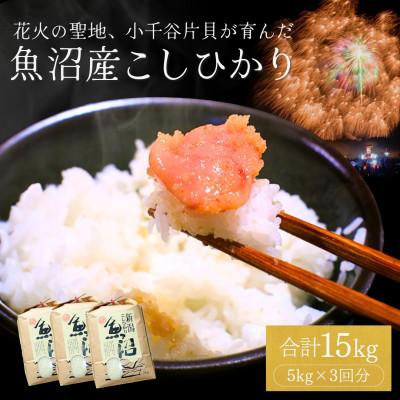 ふるさと納税 小千谷市 令和7年産 魚沼産コシヒカリ15kg 四尺玉花火の町 新潟県小千谷市片貝町 米萬商店