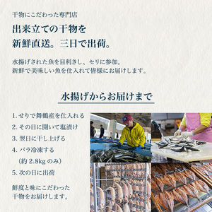 訳あり 干物 約1kg （3種類） 舞鶴産 お試し 干物 セット 