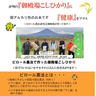 ふるさと納税 御殿場市 ピロール米御殿場こしひかり　2kg(精米) |  | 01