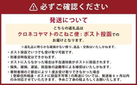 竹田3色そうめん （ スイートコーン ・ かぼす ・ トマト ）各2袋 計約540g（約90g×6袋）