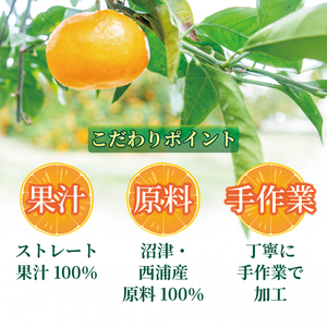 オレンジ ジュース ストレート 果汁 100％ 極早生 みかん 720ml×3本 西浦 蜜柑 贈答用 静岡 沼津