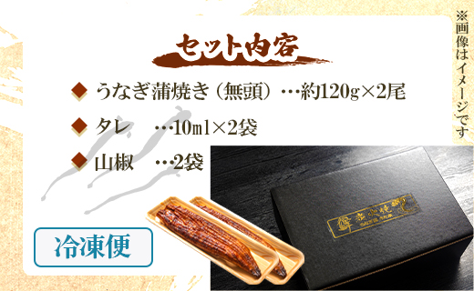 【7日程度で発送】うなぎ蒲焼き 2尾(合計約240g)(無頭)  - 送料無料 鰻 ウナギ 晩御飯 おかず おつまみ アテ スタミナ プレゼント ギフト 贈答 丑の日 父の日 敬老の日 うなぎ屋きた本