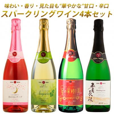 ふるさと納税 花巻市 贅沢スパークリングワイン4本セット