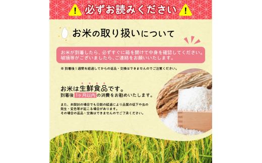 【2025年11月中旬配送】令和7年産 はえぬき 10kg（5kg×2袋）清流寒河江川育ち 山形産はえぬき 2025年産　034-C-JA010-202511中 2025年11月中旬発送