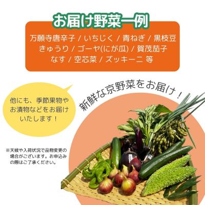 ふるさと納税 京都市 【エーコープ京都中央】おまかせ京野菜セット |  | 02