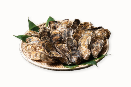 【北海道根室産】貝付き牡蠣30個 B-54006