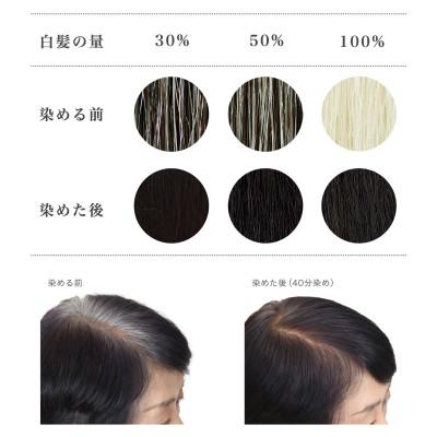 ふるさと納税 瑞穂町 自然素材100%、髪にも肌にも優しい白髪染め ナイアード「ヘナ+木藍 黒」 (100g) |  | 01