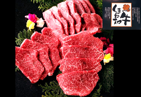 C-1021 しまね和牛 モモ(焼肉用) 750g