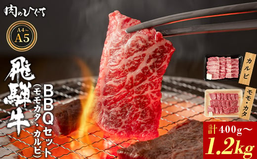 
                   選べる！ 飛騨牛 BBQセット（カルビ・モモカタ） 400g～1.2kg A5 A4 国産 牛 冷凍 和牛 牛肉 カルビ もも モモ カタ 肩 かた 豪華 ギフト 贈答 にく お肉 肉 東白川村 岐阜 飛騨 贅沢 霜降り 赤身 肉のひぐち
                