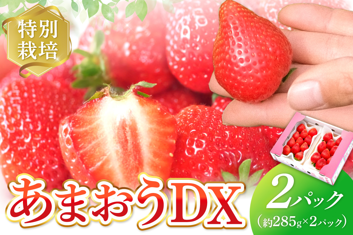 特別栽培あまおうDX2パック【うるう農園】_HA1965