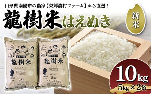 【令和6年産 新米 先行予約】 龍樹米 はえぬき 10kg (5kg×2袋) 《令和6年10月上旬～発送》 『梨郷農村ファーム』 山形南陽産 米 精米 ご飯 農家直送 山形県 南陽市 [835-R6]