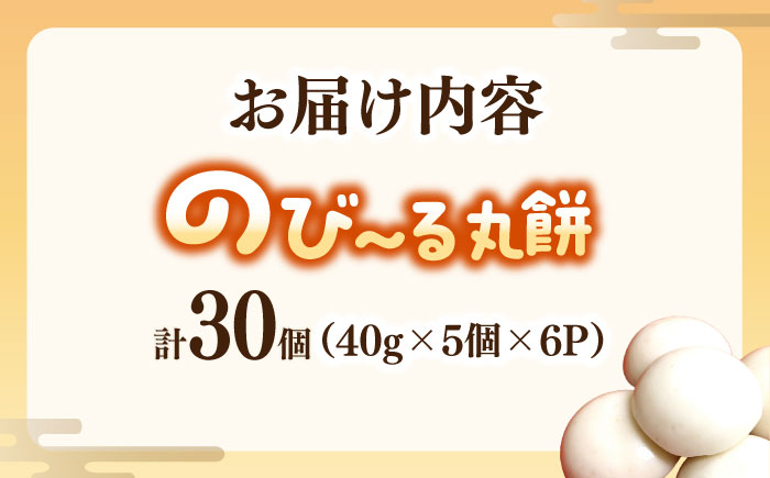 【手作りつきたて急速冷凍】佐賀県産もち米100%自慢の杵つき丸白餅(冷凍)計30個入(40g×5個×6P) / 佐賀県 / 山代ガス株式会社 旬菜舎 [41AABM019]