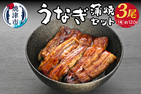 うなぎ 蒲焼 セット 約120g×3尾 海鮮うなぎ専門店 銀鮮 (a21-013)