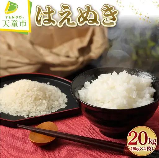 【8月中旬発送】令和7年産 はえぬき 20kg 米 精米 山形 08-01-222-08B