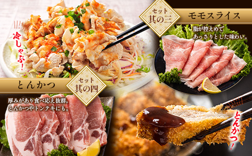 宮崎県産 豚バラエティーセット 合計4.1kg 人気 小分け 食べ比べ ボリューム 冷凍 国産 豚肉 ※ご入金月の翌月中に出荷【C456】