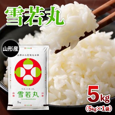 ふるさと納税 山形市 山形産 雪若丸 5kg FZ26-901