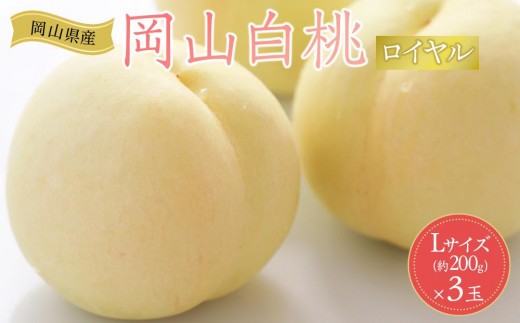 
                  岡山県産 桃 岡山白桃 2026年 ロイヤル 3玉×約200g 計600g Lサイズ 【白桃 桃 もも 果物 フルーツ 新鮮 岡山県産 おすすめ 人気 ギフト 岡山県 岡山市】
                