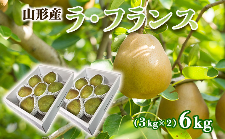 
山形のラ・フランス 秀 約6kg(12～18玉・3L～6L) FZ22-365
