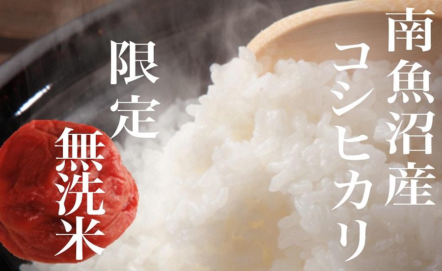 【令和7年産】【定期便】《無洗米》南魚沼産コシヒカリ8Kg×全3回【2025年10月上旬より順次発送予定】