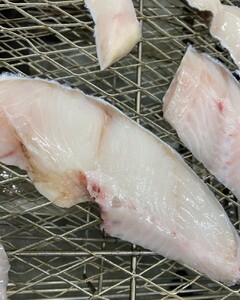 銀だらのひもの10切【うま味が凝縮】 (a15-538)