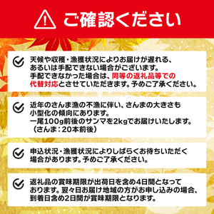 【期間限定】訳あり 鮮さんま 2kg 20本前後（1尾 約100g） 岩手大船渡産 さんま 秋刀魚 サンマ 新鮮 期間限定 鮮魚 鮮さんま（ 秋刀魚 ｻﾝﾏ 訳ｱﾘ 秋刀魚 ｻﾝﾏ 訳ｱﾘ 秋刀魚 ｻ