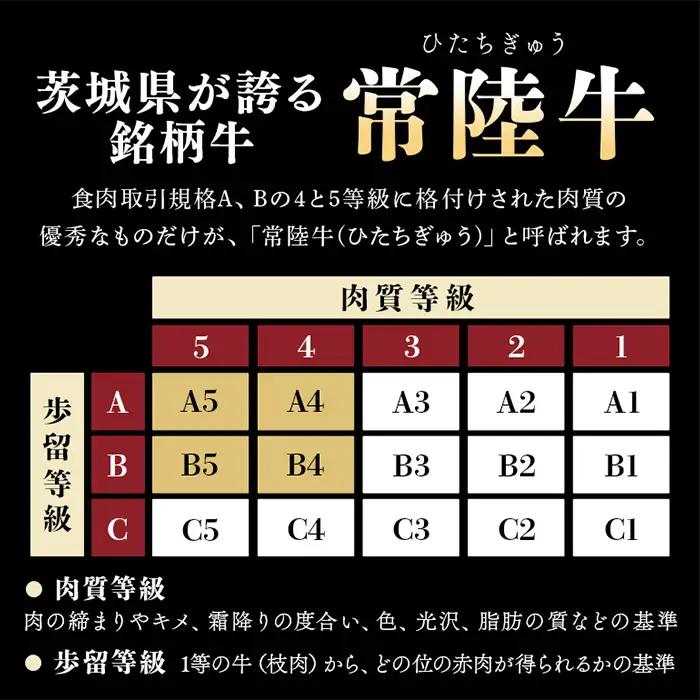 生ハンバーグ120g×6個 常陸牛 100％ 512