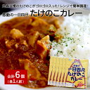 【ふるさと納税】たけのこカレー1人前×6個セット｜丸森自慢のたけのこ 具材ゴロゴロ レトルト食品 パウチ 手軽 筍 ご飯 人気 簡単 常温保存