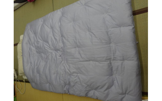 
            エジプト綿入り「究極の掛ふとん」（ブルー）【CW74W】
          