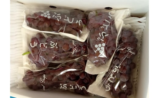 ぶどう（デラウェア）１ｋｇ　0142-2501
