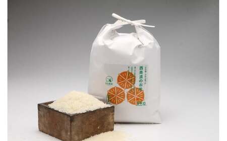 【先行予約！】3回 定期便 令和7年度産 ハツシモ 10kg 新米 水の都大垣の新米 10キロ×3回