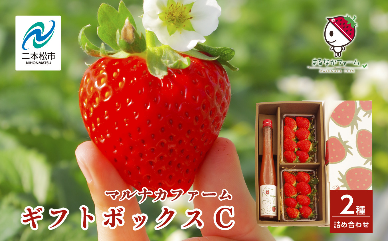 
            《2026年3月以降順次発送》まるなかファーム ギフトボックスC いちご 酒 リキュール liqueur ストロベリー 日本酒 セット 苺 イチゴ フルーツ 果物 おすすめ お中元 お歳暮 ギフト 二本松市 ふくしま 福島県 送料無料 【まるなかファーム株式会社】
          