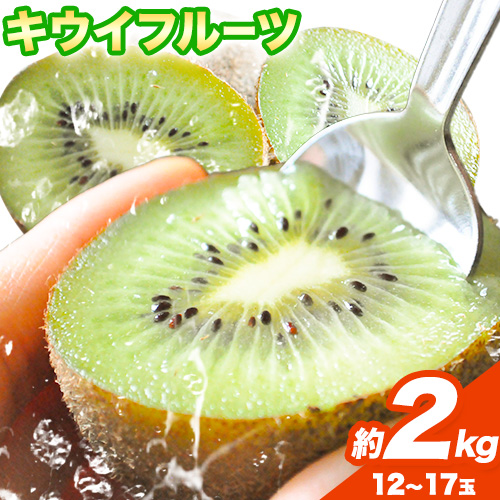 和歌山県紀の川市産 キウイ約2kg(12～17玉) ときわオンライン《12月下旬-5月中旬頃出荷》 和歌山県 紀の川市 キウイ キウイフルーツ 果物 フルーツ 送料無料