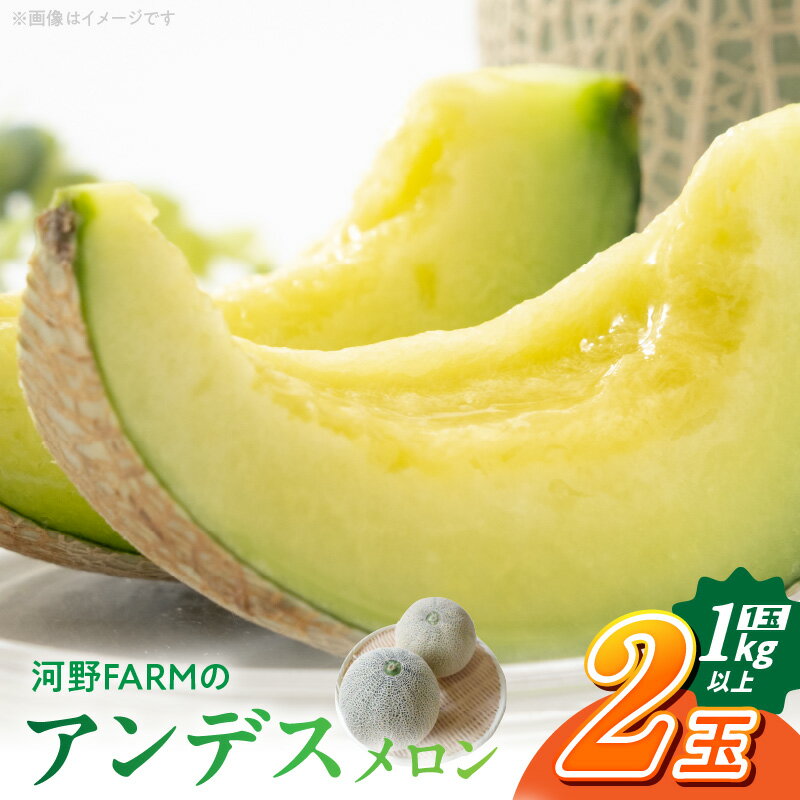 【ふるさと納税】【先行予約】 アンデスメロン 2玉 計 2kg 以上 メロン農家 三代目 河野FARM 自慢 メロン 果肉 黄緑色 甘み 強い マスクメロン 似た風味 ジューシー とろける 口当たり 《発送》4月～　フルーツ【熊本県宇土市】