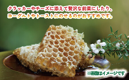 巣蜜 コムハニー 250g × 2個 セット 宇和島農産 ハニー F018-132012