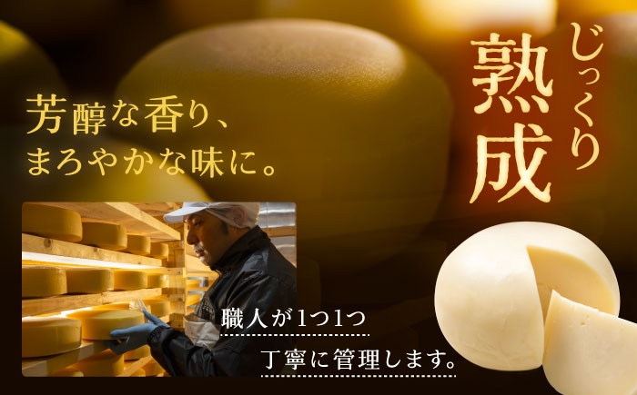 北海道産 十勝 チーズ セミハード チーズ ゴーダ 乳製品 生乳 加工品 